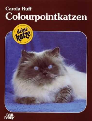 Colourpointkatzen — Carola Ruff