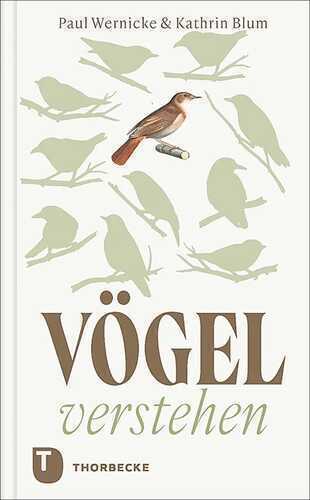Vögel verstehen