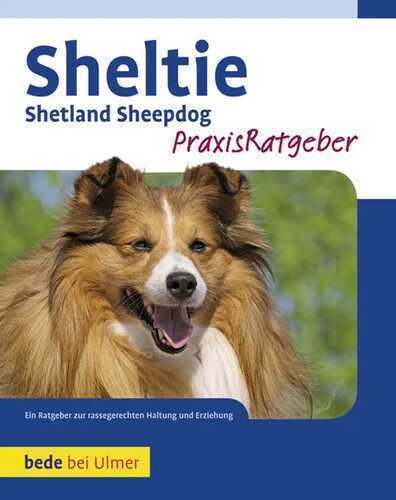 Sheltie — Charlotte Schwartz