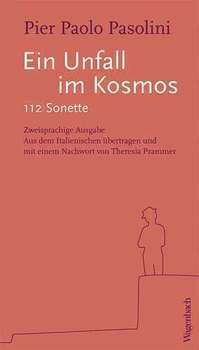 Ein Unfall im Kosmos