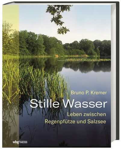 Stille Wasser — Bruno P. Kremer