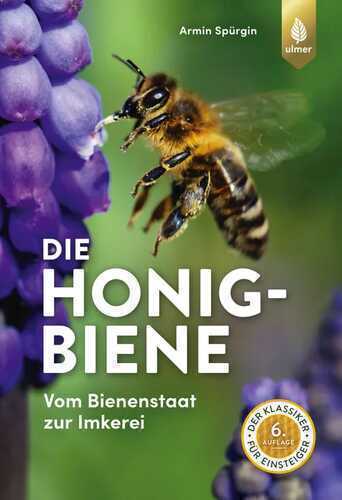 Die Honigbiene — Armin Spürgin