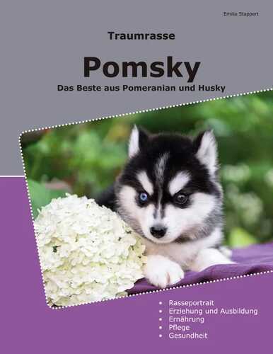 Traumrasse Pomsky — Emilia Stappert