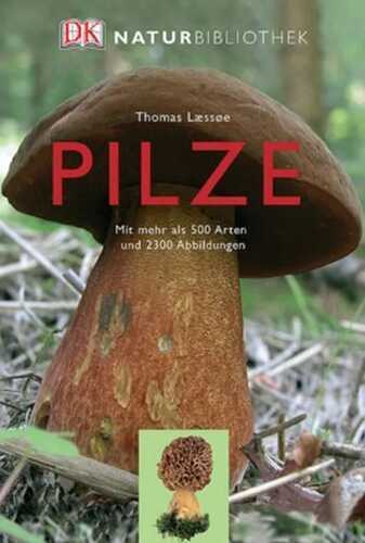 Pilze — Thomas Laessoe