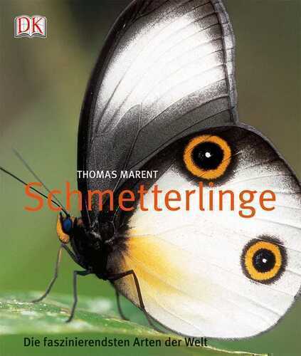 Schmetterlinge — Thomas Marent