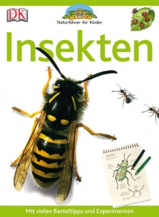 Insekten
