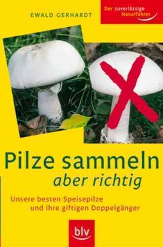 Pilze sammeln aber richtig