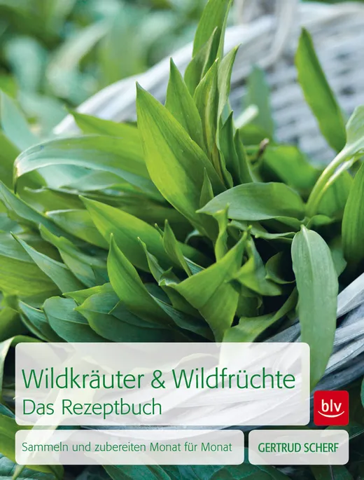 Wildkräuter & Wildfrüchte Das Rezeptbuch
