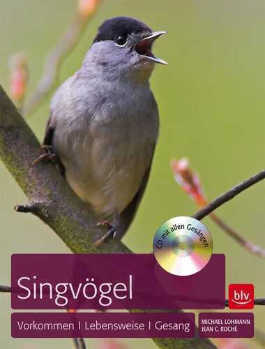 Singvögel — Michael Lohmann