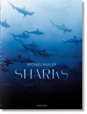Michael Muller: Sharks