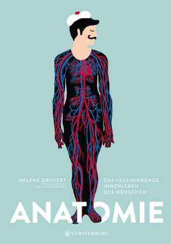 Anatomie — Helene Druvert