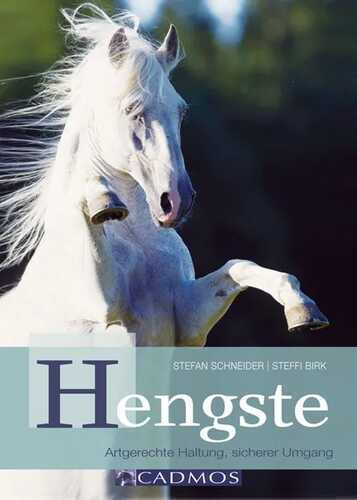 Hengste — Stefan Schneider
