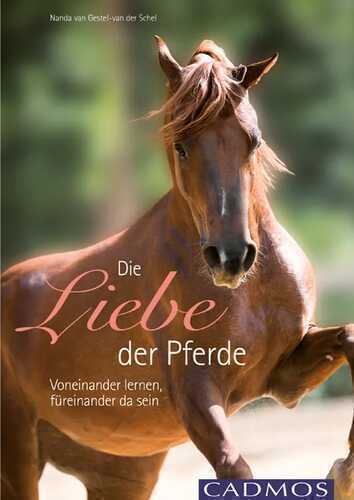 Die Liebe der Pferde — Nanda van Gestel- van der Schel