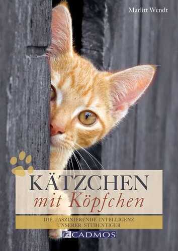 Kätzchen mit Köpfchen — Marlitt Wendt