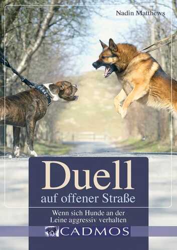Duell auf offener Straße: Wenn sich Hunde an der Leine aggressiv verhalten (Haltung und Erziehung)