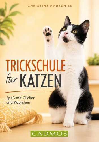 Trickschule für Katzen — Christine Hauschild