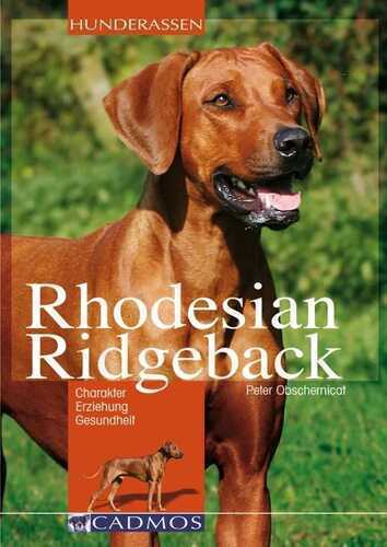 Rhodesian Ridgeback