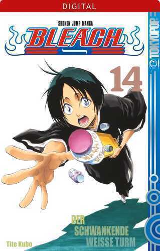 Bleach 14 — Tite Kubo