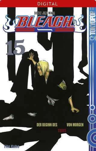Bleach 15 — Tite Kubo