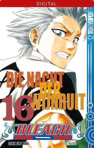 Bleach 16 — Tite Kubo