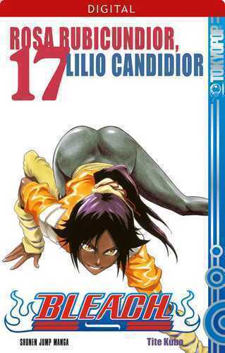 Bleach 17 — Tite Kubo
