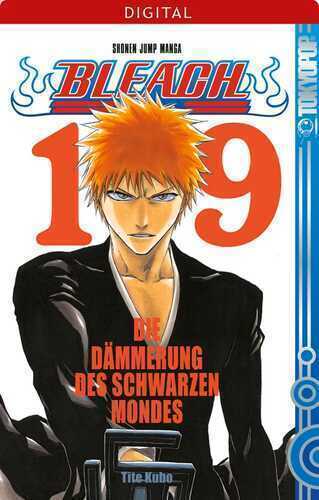Bleach 19 — Tite Kubo