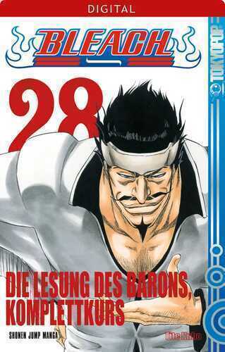 Bleach 28 — Tite Kubo