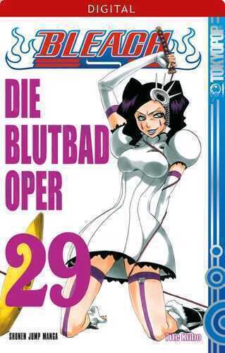 Bleach 29 — Tite Kubo