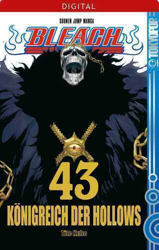 Bleach 43 — Tite Kubo