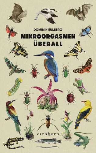 Mikroorgasmen überall — Dominik Eulberg