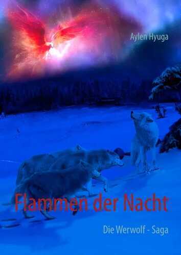 Flammen der Nacht