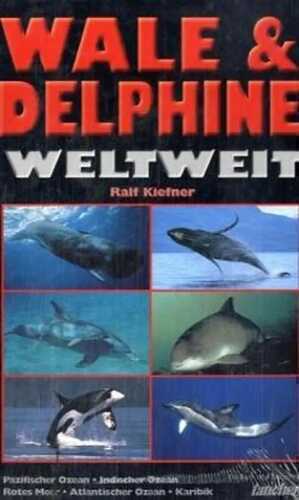 Wale & Delphine weltweit