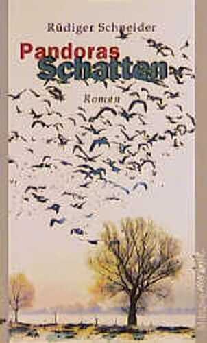 Pandoras Schatten — Rüdiger Schneider