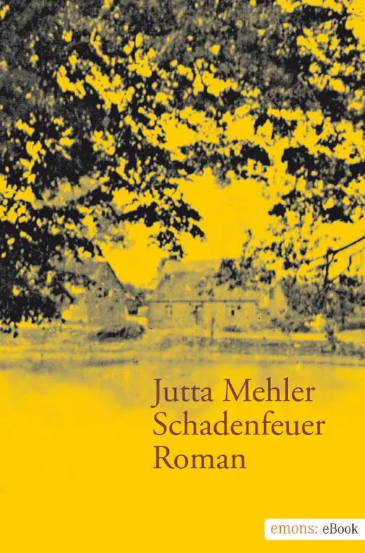 Schadenfeuer