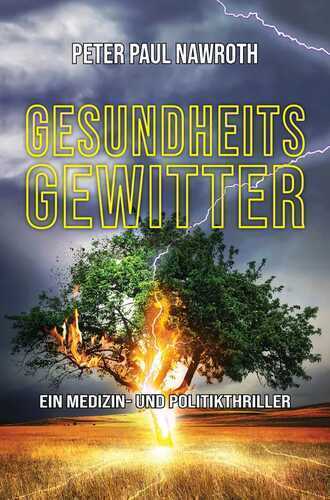 Gesundheitsgewitter — Peter Paul Nawroth