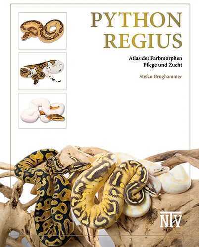 Python regius — Stefan Broghammer