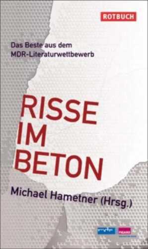 Risse im Beton