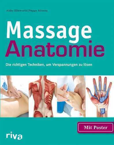 Massage-Anatomie — Abby Ellsworth