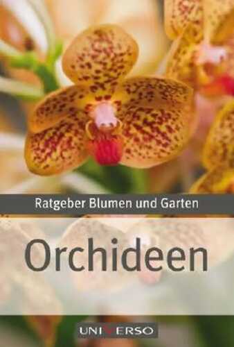 Ratgeber Garten - Orchideen