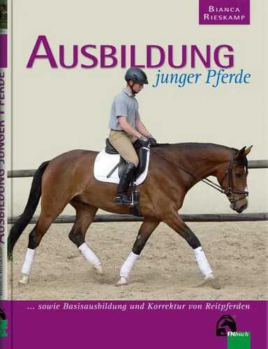 Ausbildung junger Pferde