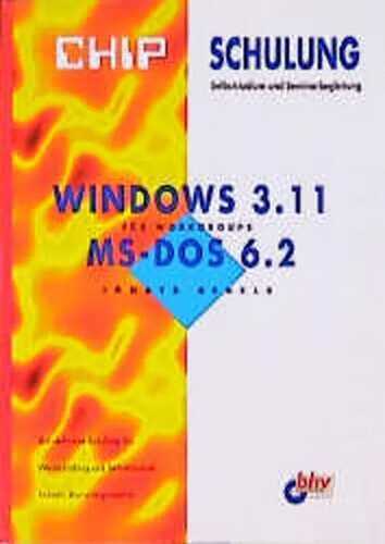 Windows 3.11 für Workgroups. MS DOS 6.2
