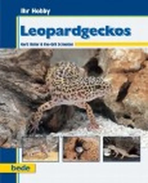 Ihr Hobby Leopardgeckos