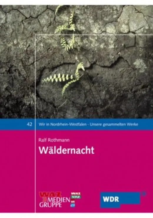 Wäldernacht