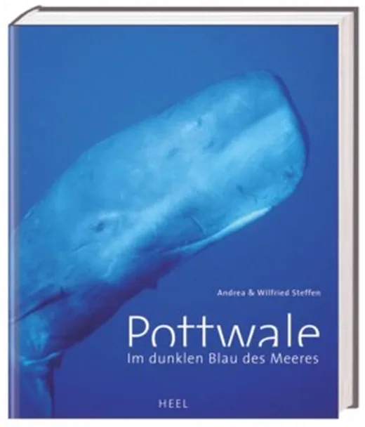 Pottwale