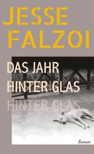 Das Jahr hinter Glas