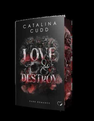 Love & Destroy: Dark Romance