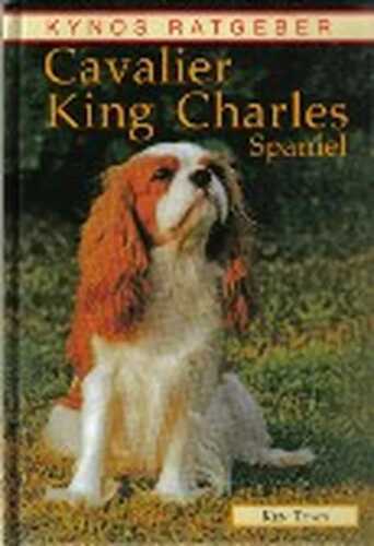 Cavalier King Charles Spaniel