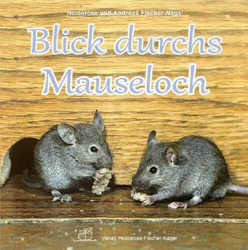 Blick durchs Mauseloch — Heiderose Fischer-Nagel