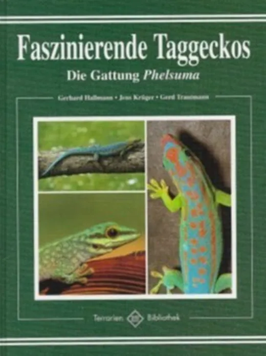 Faszinierende Taggeckos