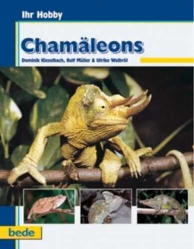 Ihr Hobby Chamäleons